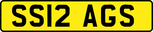 SS12AGS