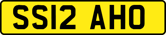 SS12AHO