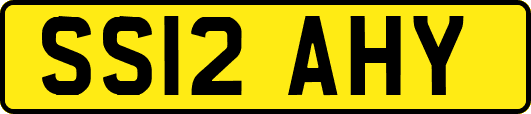 SS12AHY