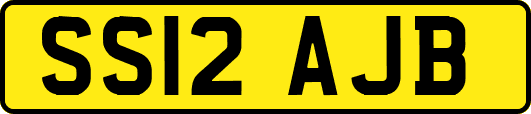 SS12AJB