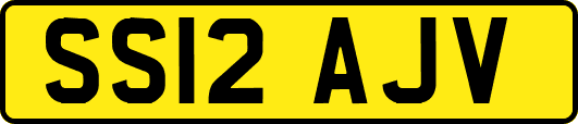 SS12AJV