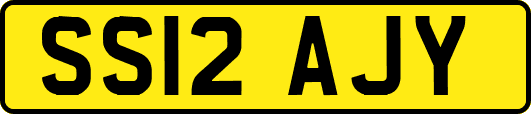 SS12AJY
