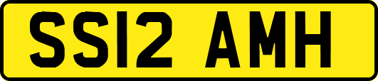 SS12AMH