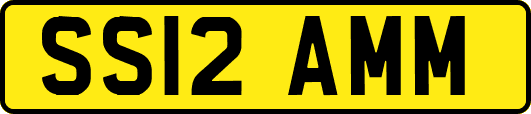 SS12AMM