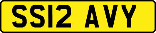 SS12AVY