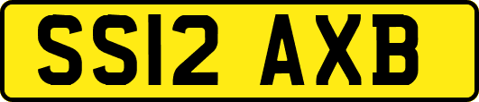SS12AXB
