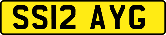 SS12AYG
