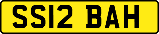 SS12BAH