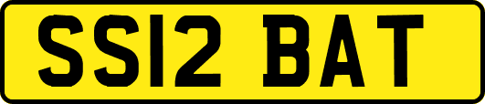 SS12BAT