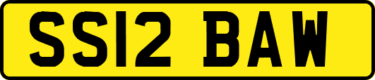 SS12BAW