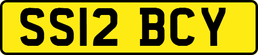 SS12BCY