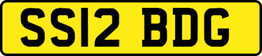 SS12BDG