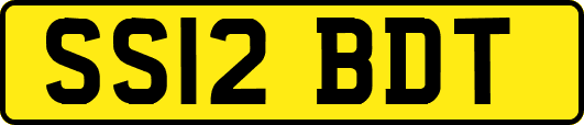 SS12BDT