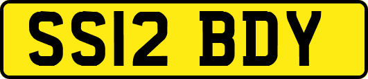 SS12BDY