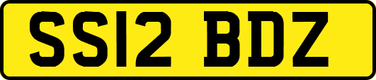 SS12BDZ