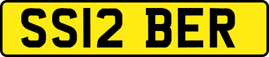 SS12BER