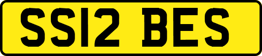 SS12BES
