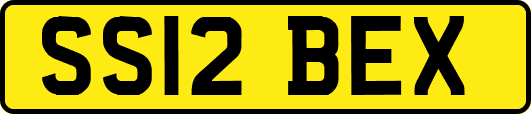 SS12BEX