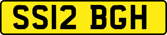 SS12BGH