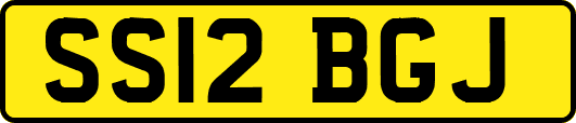 SS12BGJ
