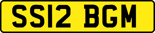 SS12BGM