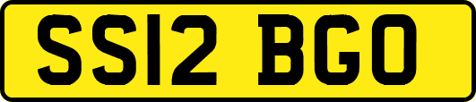 SS12BGO