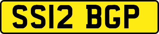 SS12BGP