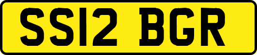 SS12BGR