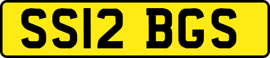 SS12BGS