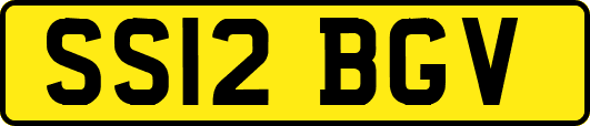 SS12BGV