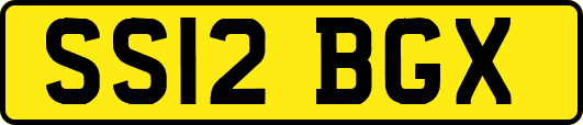 SS12BGX