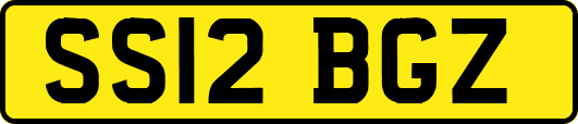 SS12BGZ
