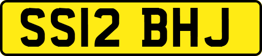 SS12BHJ