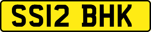 SS12BHK