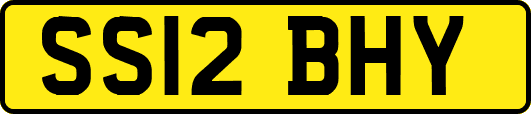 SS12BHY