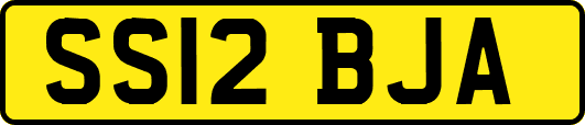 SS12BJA