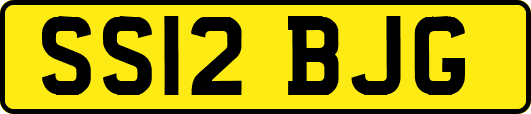 SS12BJG