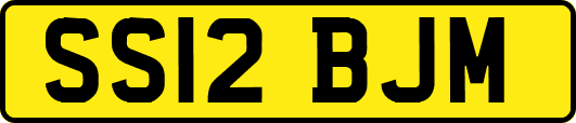 SS12BJM