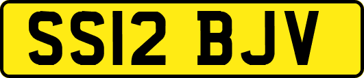 SS12BJV