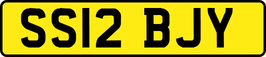 SS12BJY