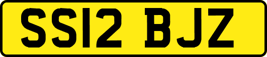SS12BJZ