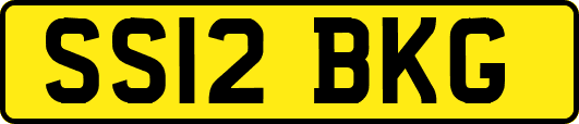 SS12BKG