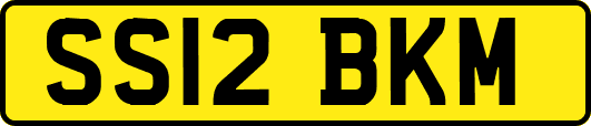 SS12BKM