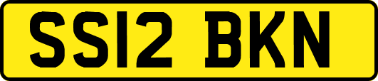 SS12BKN