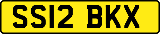 SS12BKX