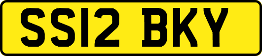 SS12BKY