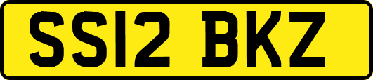 SS12BKZ
