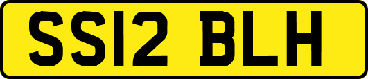 SS12BLH