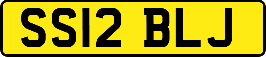 SS12BLJ