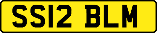 SS12BLM